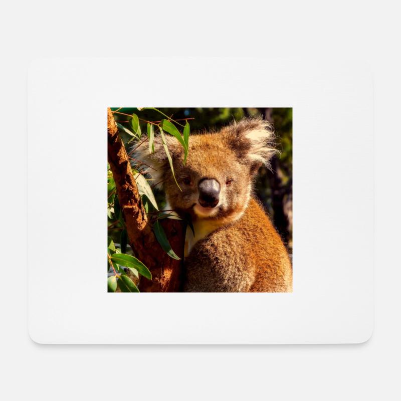 Koala - Mousepad (Querformat) - Weiß