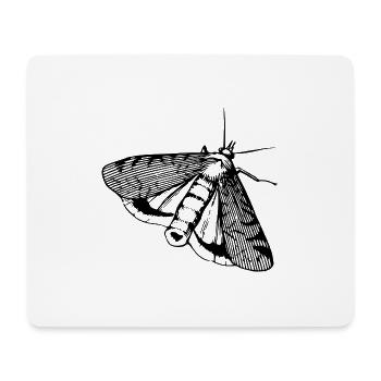 Schmetterling Falter Insekt - Mousepad (Querformat) - Weiß - Vorne