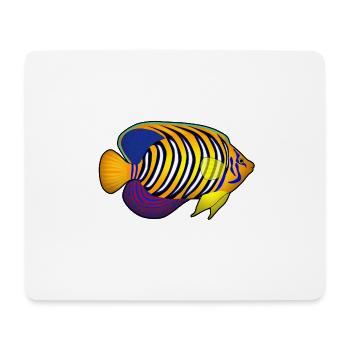 Regal Kaiserfisch - Mousepad (Querformat) - Weiß - Vorne