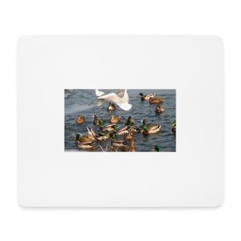 Duck with family - Mouse Pad (horizontal) - white - Front