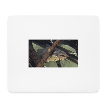 poisson chat aeiurus melas siluriforme xl - Tapis de souris (format paysage) - blanc - Devant