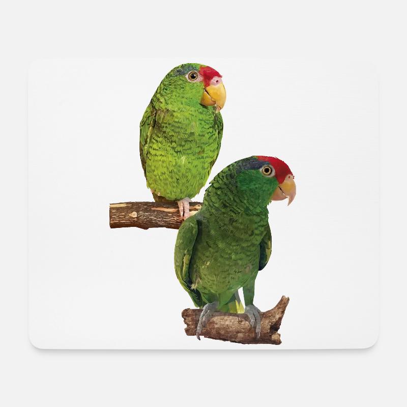 Der Tamaulipas-Papagei - Mousepad (Querformat) - Weiß