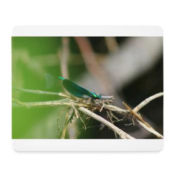 Fuzzy männlicher Zweig calopteryx - Mousepad (Querformat) - Weiß - Vorne