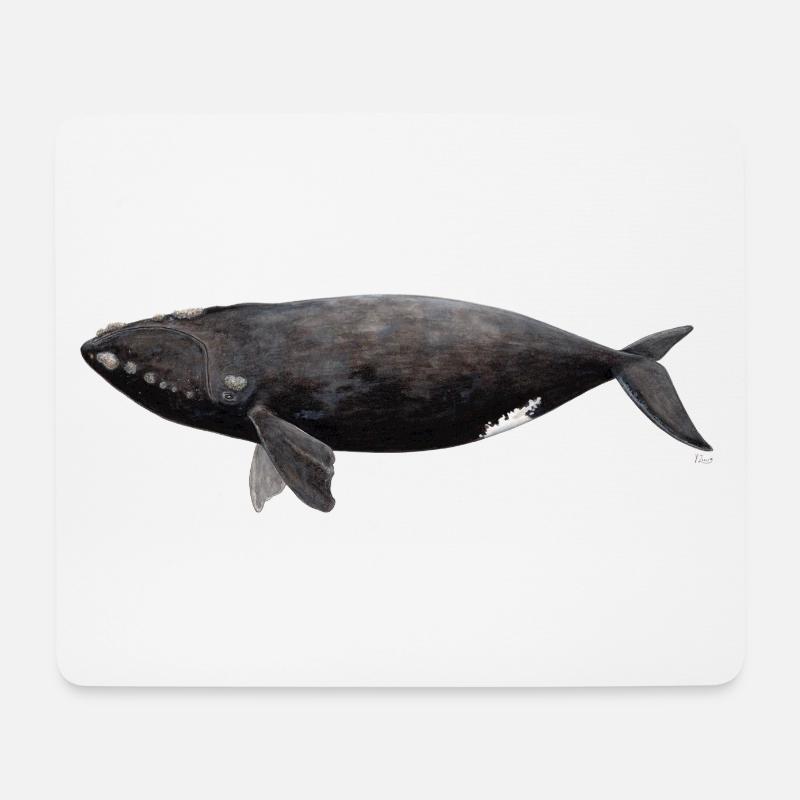 Wal - Balaena glacialis - Glattwal - Mousepad (Querformat) - Weiß