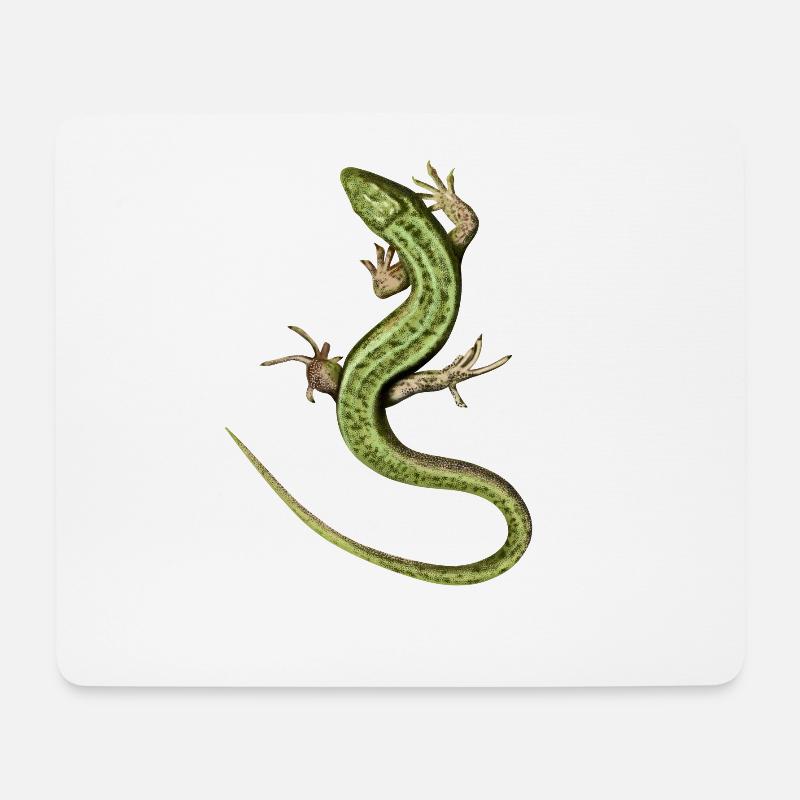 Eidechse - Mousepad (Querformat) - Weiß