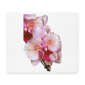 Phalaenopsis Swan Blush Peloric Orchid Blossom - Mouse Pad (horizontal) - white - Front