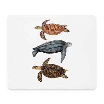 Tortues marines: tortue verte, tortue imbriquée et tortue luth - Tapis de souris (format paysage) - blanc - Devant
