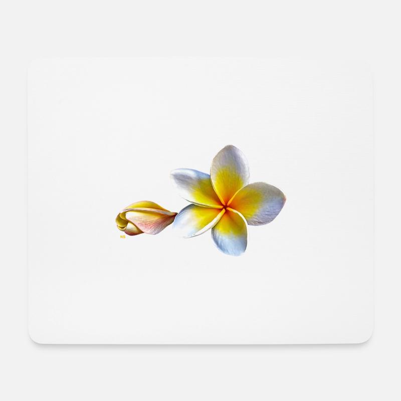 Weisse plumeria oder Frangipani Blume - Mousepad (Querformat) - Weiß