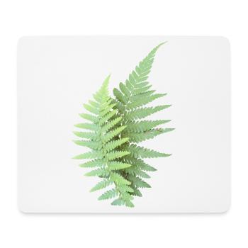 Farn Blätter Farnblätter grün - Mousepad (Querformat) - Weiß - Vorne