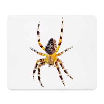 Kreuzspinne Araneus diadematus - Mousepad (Querformat) - Weiß - Vorne