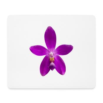 Orchidee Phalaenopsis speciosa x violacea Blüte - Mousepad (Querformat) - Weiß - Vorne