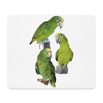 Le perroquet royal amazonien - Tapis de souris (format paysage) - blanc - Devant