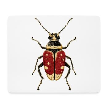 Maikäfer Süßer Hirschkäfer Nashornkäfer Insekten - Mousepad (Querformat) - Weiß - Vorne