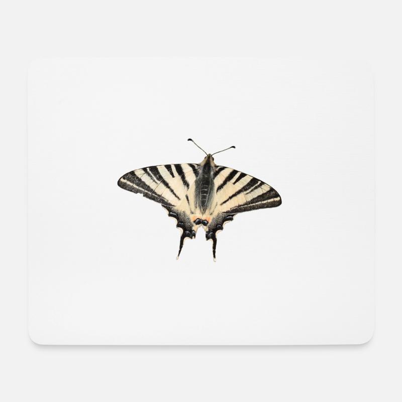 Segelfalter - Mousepad (Querformat) - Weiß