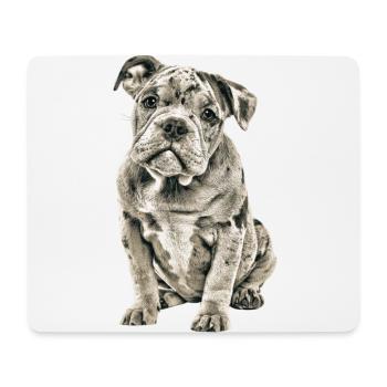 OLD ENGLISH BULLDOG Chien Chiens Bouledogue - Tapis de souris (format paysage) - blanc - Devant
