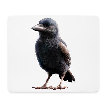 Rabe Krähe Vogel Rabenkrähe Dohle Schwarze Raben - Mousepad (Querformat) - Weiß - Vorne