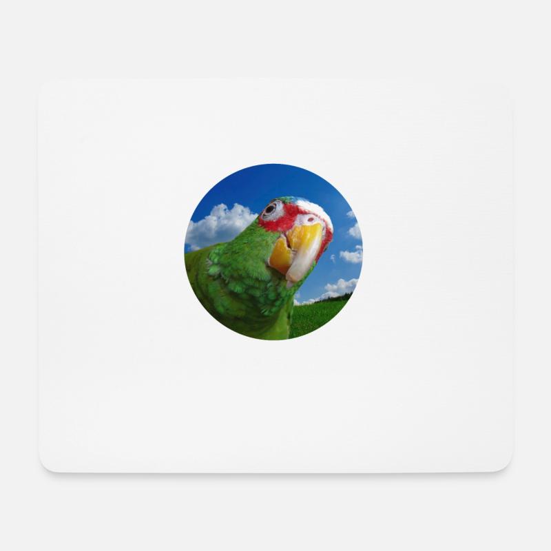 Weißstirnamazone - Mousepad (Querformat) - Weiß
