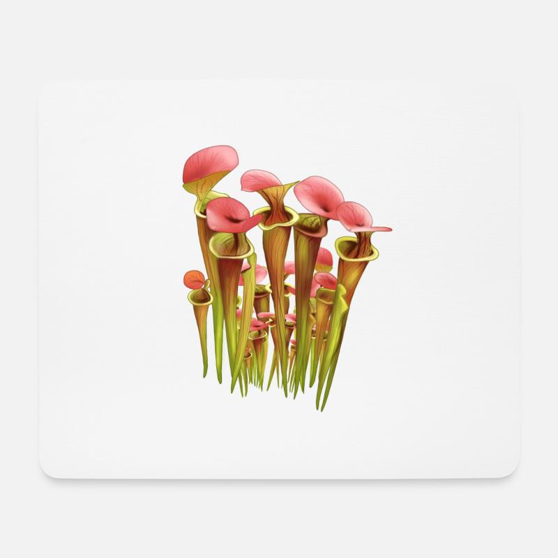 Garten Fleischfressende Schlauchfflanze Sarracenia - Mousepad (Querformat) - Weiß