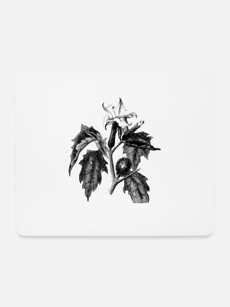 Stechapfel - Mousepad (Querformat) - Weiß