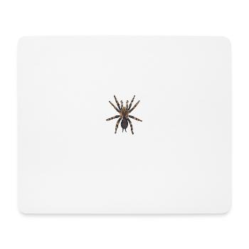 Vogelspinne I Tarantula Terrarium Motiv für - Mousepad (Querformat) - Weiß - Vorne