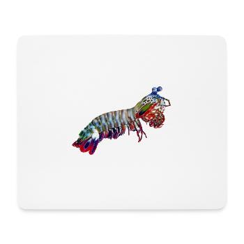 Mantis-Shrimp - Mousepad (Querformat) - Weiß - Vorne