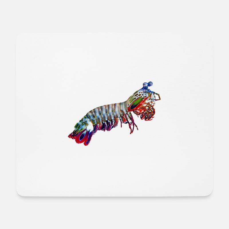Mantis-Shrimp - Mousepad (Querformat) - Weiß