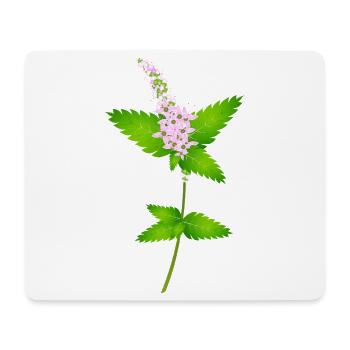 Menthe avec des fleurs – motif de la nature pour les amateurs d’herbes - Tapis de souris (format paysage) - blanc - Devant