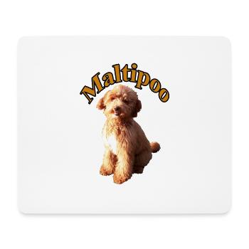 Maltipoo Lisa apricot - Mousepad (Querformat) - Weiß - Vorne