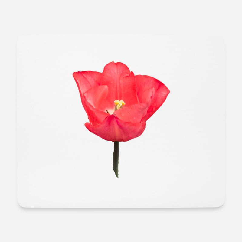 Rote Tulpenblüte - Mousepad (Querformat) - Weiß