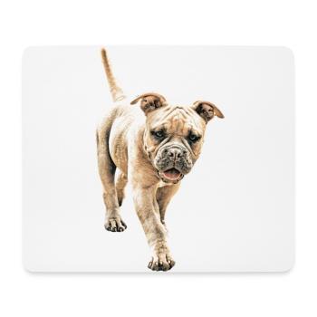 Bulldog Old English Bulldog Dog Dogs - Mouse Pad (horizontal) - white - Front