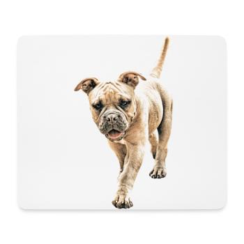 Bulldog Old English Bulldog Dog Dogs - Mouse Pad (horizontal) - white - Front