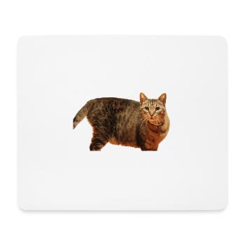 Katze Kätzchen - Mousepad (Querformat) - Weiß - Vorne