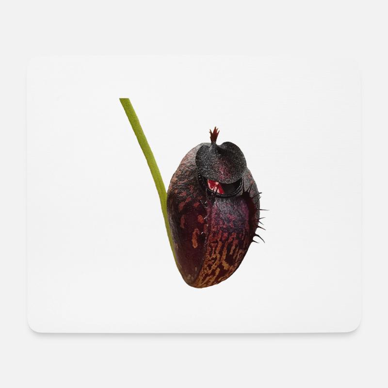 Nepenthes aristolochioides 02 - Mousepad (Querformat) - Weiß