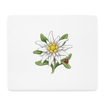 Weiße Blüte mit Marienkäfer - Mousepad (Querformat) - Weiß - Vorne