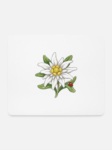 Weiße Blüte mit Marienkäfer - Mousepad (Querformat) - Weiß