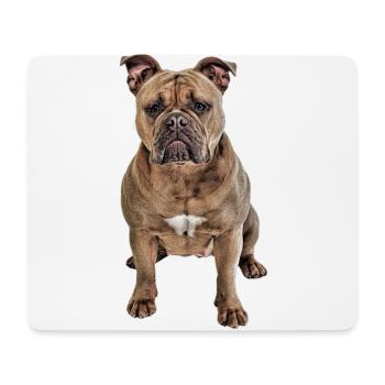Bulldog Old English Bulldog Dog Dogs - Mouse Pad (horizontal) - white - Front