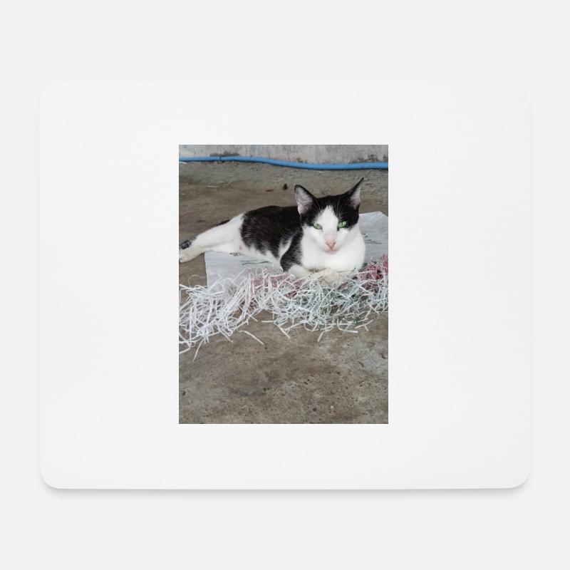 Katzen - Mousepad (Querformat) - Weiß