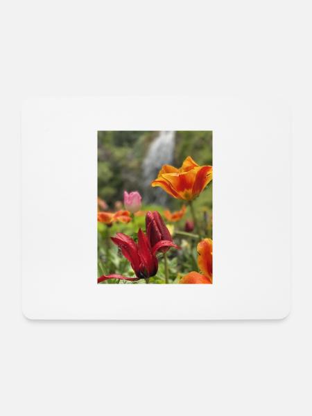 Tulips colorful - Mouse Pad (horizontal) - white
