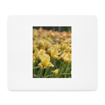 Tulipe Jaune mer - Tapis de souris (format paysage) - blanc - Devant