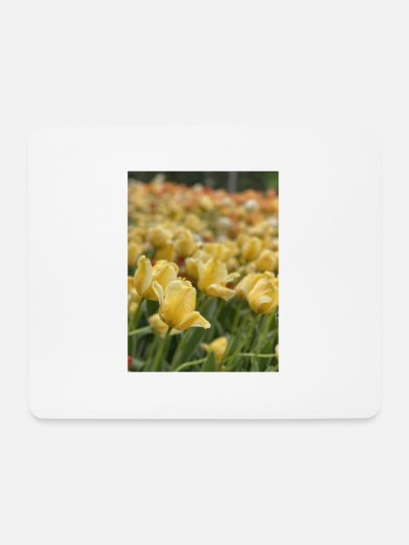 Tulip Sea yellow - Mouse Pad (horizontal) - white