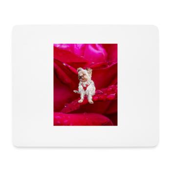 Yorkshire Terrier Rose - Mousepad (Querformat) - Weiß - Vorne