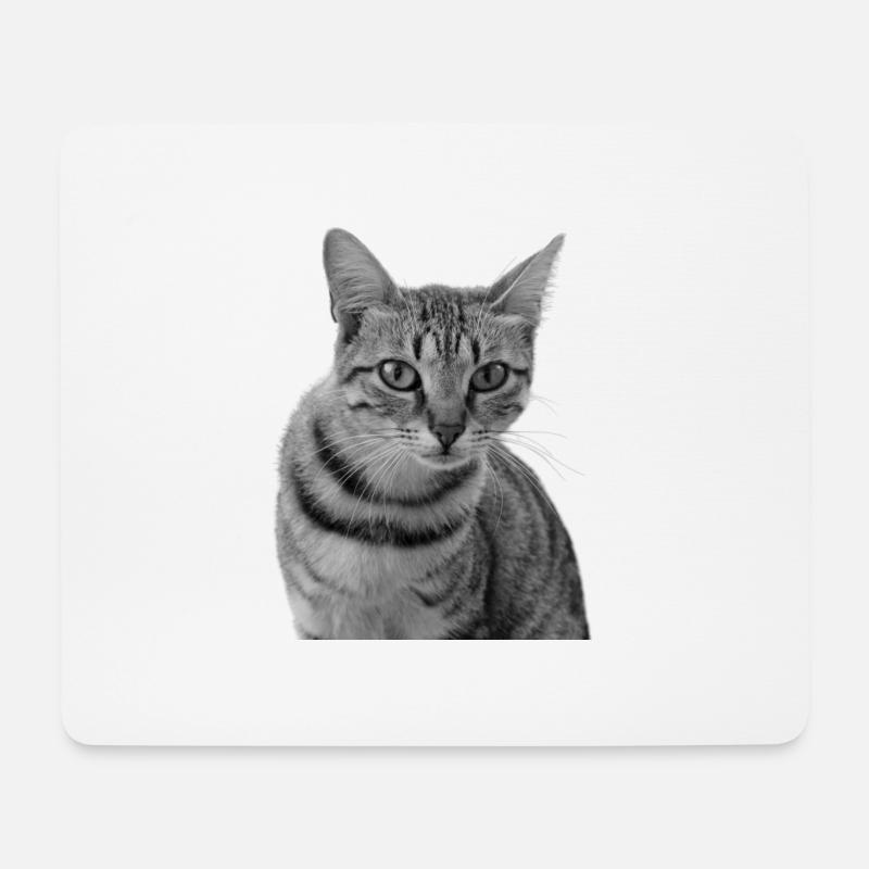 Katze weiß-schwarz Katze schwarzweiß - Mousepad (Querformat) - Weiß