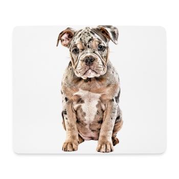 OLD ENGLISH BULLDOG Dog Dogs Bulldog - Mouse Pad (horizontal) - white - Front