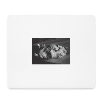 Official Sleep Shirt Cat Pajamas Cat Mom - Mouse Pad (horizontal) - white - Front