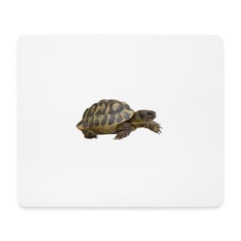 turtle schildkroete tiere animals9 - Mousepad (Querformat) - Weiß - Vorne