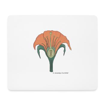 Die Anatomie der Blume - Mousepad (Querformat) - Weiß - Vorne