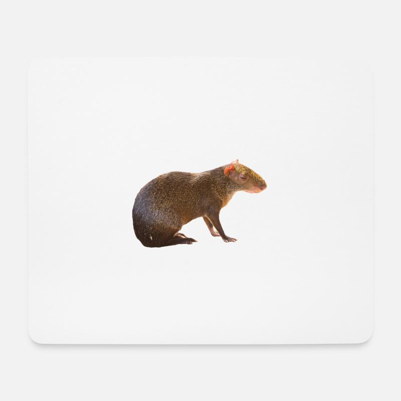 Agouti 4 - Mousepad (Querformat) - Weiß