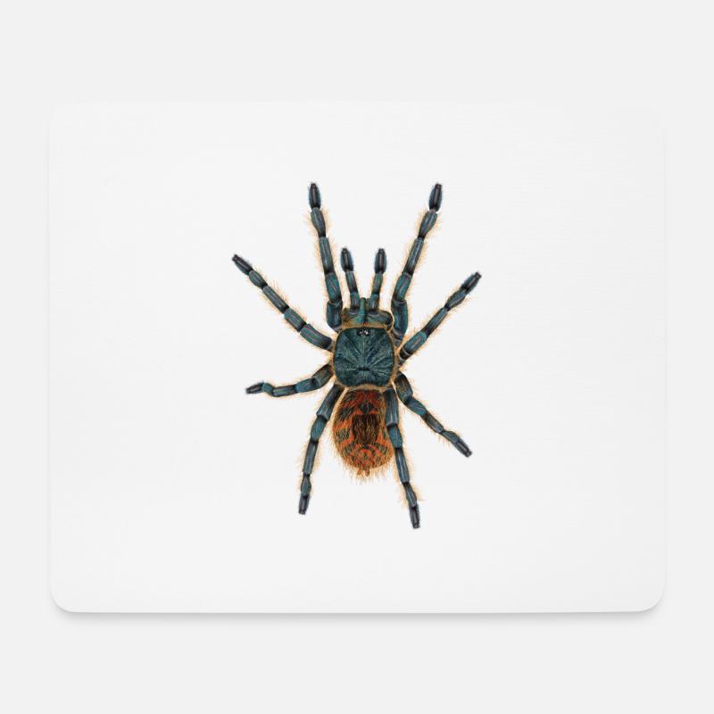 Spinne Vogelspinne ohne Schatten Illustration - Mousepad (Querformat) - Weiß