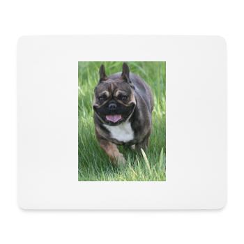petite canne à pêche notre Français Bulldog - Tapis de souris (format paysage) - blanc - Devant