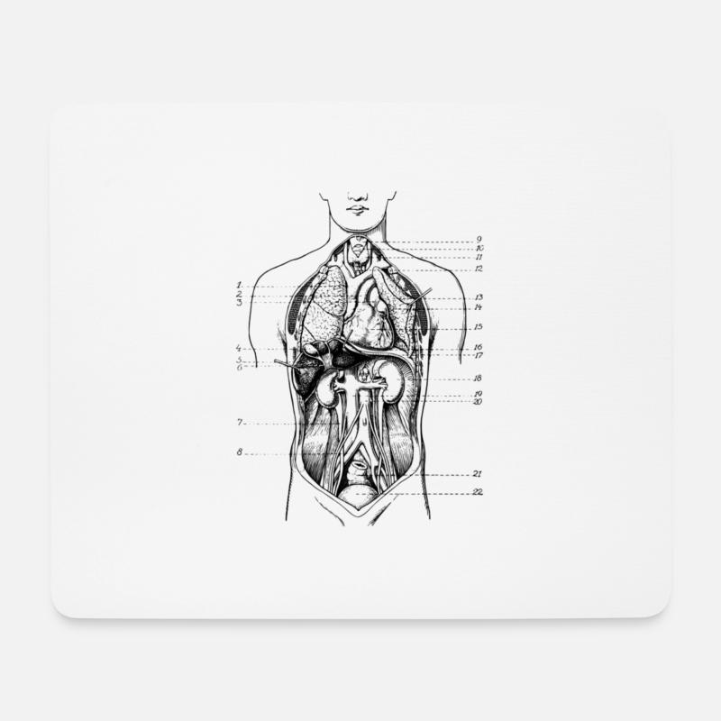 Medizinisches Schnittbild des menschlichen Körpers - Mousepad (Querformat) - Weiß
